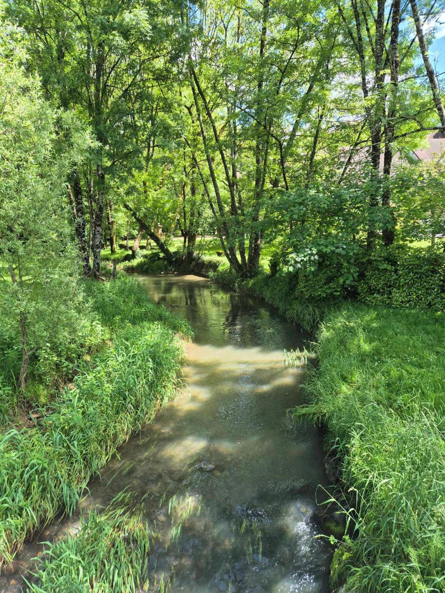 Au Lavoir Du Serein "La Billaude" Et "La Langouette" Saint-Germain-lès-Arlay Exterior foto